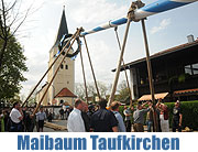 Maibaum Aufstellen in Taufkrichen (Foto: Inrid Grossmann)